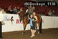 06buckeye_1138 proof