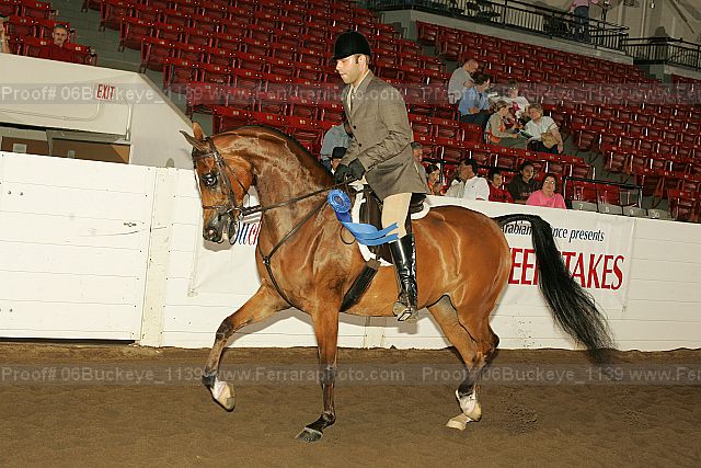 Proof 06buckeye_1139