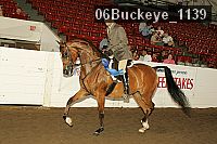 06buckeye_1139 proof