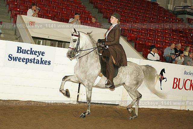 Proof 06buckeye_1141