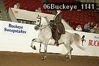 06buckeye_1141 proof