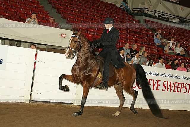 Proof 06buckeye_1144