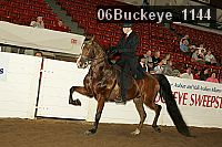 06buckeye_1144 proof