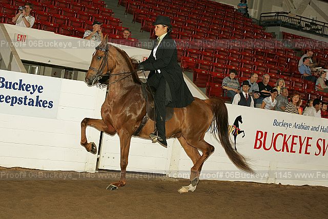 Proof 06buckeye_1145