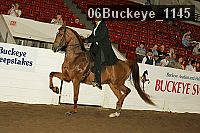 06buckeye_1145 proof