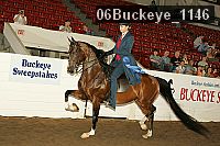 06buckeye_1146 proof