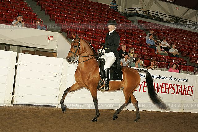 Proof 06buckeye_1148