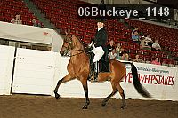 06buckeye_1148 proof
