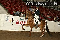 06buckeye_1149 proof