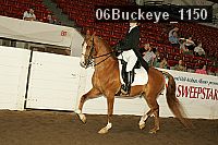 06buckeye_1150 proof