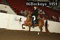 06buckeye_1151 proof
