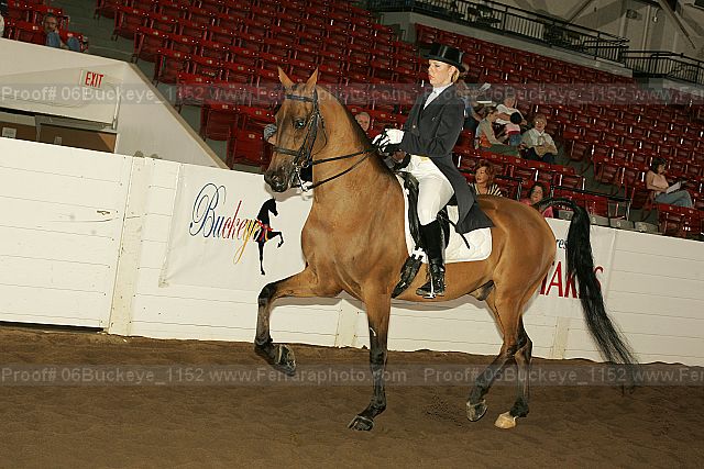 Proof 06buckeye_1152