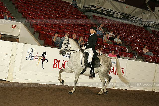 Proof 06buckeye_1153