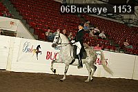 06buckeye_1153 proof