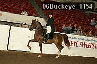 06buckeye_1154 proof