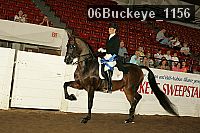 06buckeye_1156 proof