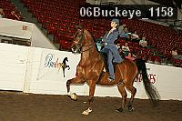 06buckeye_1158 proof
