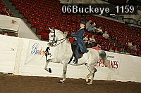 06buckeye_1159 proof