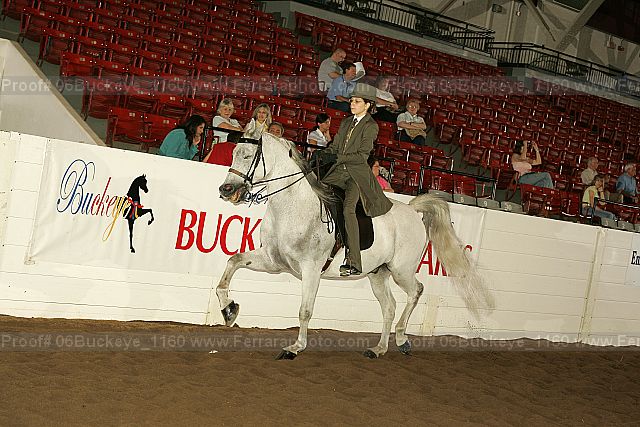 Proof 06buckeye_1160