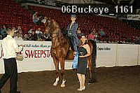 06buckeye_1161 proof