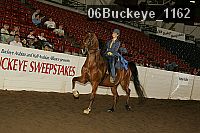 06buckeye_1162 proof