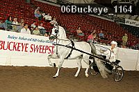 06buckeye_1164 proof