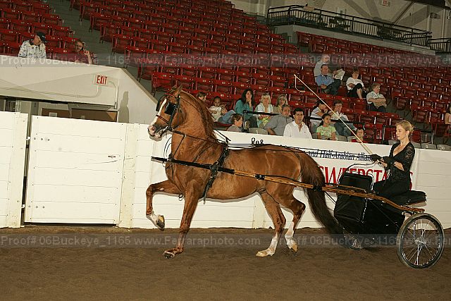 Proof 06buckeye_1165