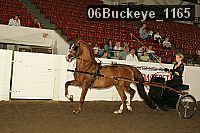 06buckeye_1165 proof