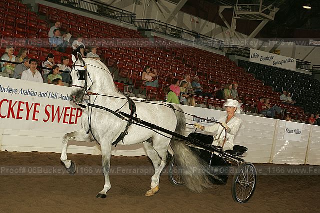 Proof 06buckeye_1166