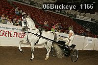 06buckeye_1166 proof