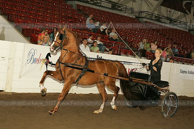 Proof 06buckeye_1167