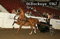 06buckeye_1167 proof