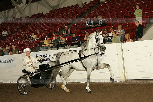 Proof 06buckeye_1168