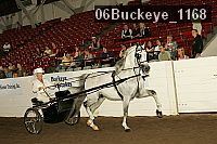 06buckeye_1168 proof