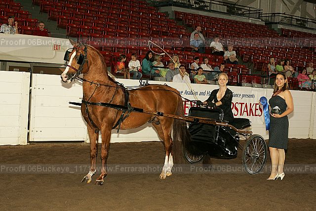Proof 06buckeye_1171