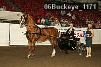 06buckeye_1171 proof