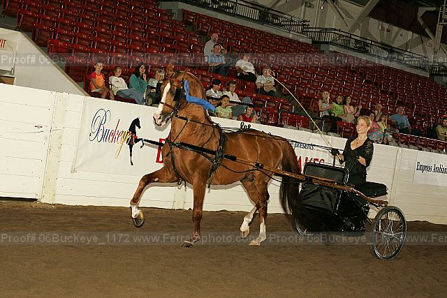 Proof 06buckeye_1172