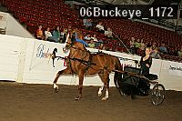 06buckeye_1172 proof