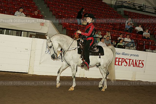 Proof 06buckeye_1174