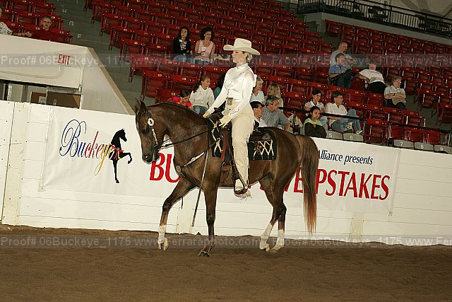 Proof 06buckeye_1175
