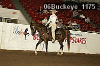06buckeye_1175 proof