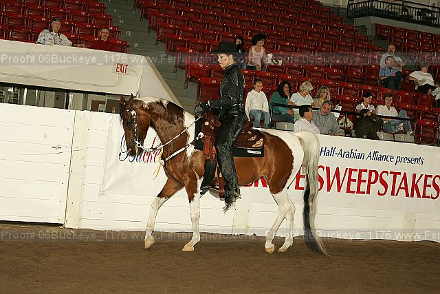 Proof 06buckeye_1176