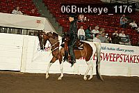 06buckeye_1176 proof