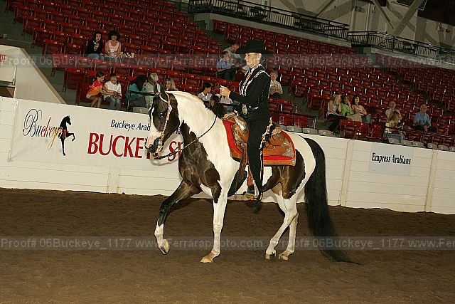 Proof 06buckeye_1177