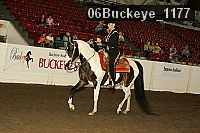 06buckeye_1177 proof