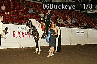 06buckeye_1178 proof