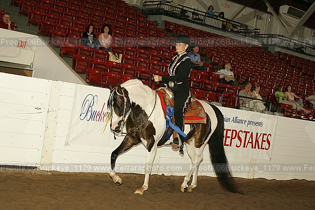 Proof 06buckeye_1179