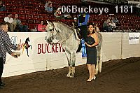 06buckeye_1181 proof