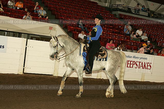 Proof 06buckeye_1182