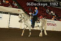 06buckeye_1182 proof